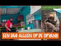 Tamara moet alleen voor de dieren zorgen! | DierenpraatTV
