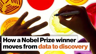 How a Nobel Prize winner moves from data to discovery | Jim Allison