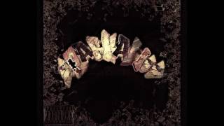 TRUE - Birds of a Feather (Unofficial Audio Version)