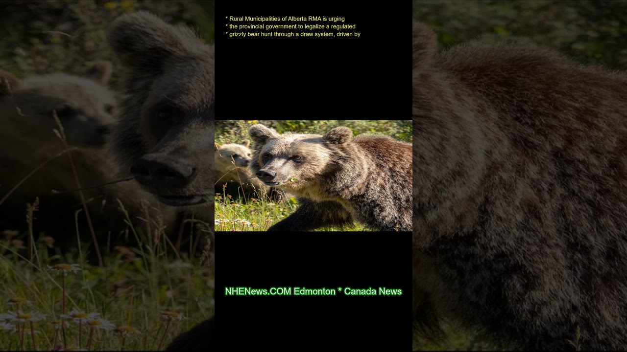 Rural Municipalities of Alberta (RMA) is urging the provincial government to legalize a regulated gr