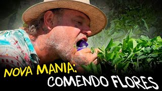 Miniatura do vídeo