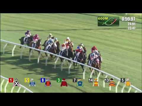 3/4/2022 (554) Dragon Pride - Matthew Chadwick