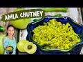 Amla Ki Sukhi Chutney Amla Chutney Recipe आंवले की चटनी ऐसे बना �
