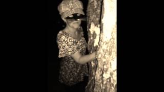 Katter uten hale (av Haakon Ellingsen)