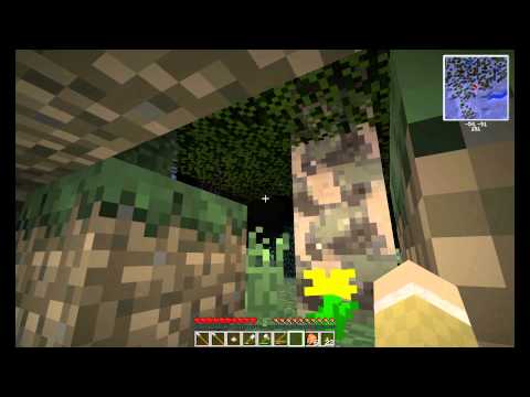 Spotter's Guide Tutorials S1E1 - The first day, and night.