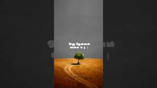 Download lagu Kaatrodu pattam pola ayodhi song #emotionalstatus #sasikumar #whatsappstatus mp3