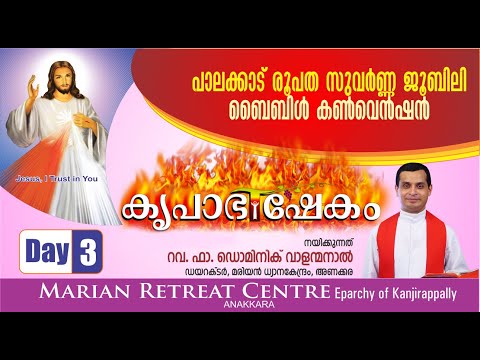 DAY 3 | PALAKKAD DIOCESE KRUPABHISHEKAM BIBLE CONVENTION 2024 | FR. DOMINIC VALANMANAL