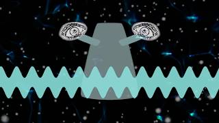 Sufjan Stevens - Now That I&#39;m Older [Fanmade Visualiser]