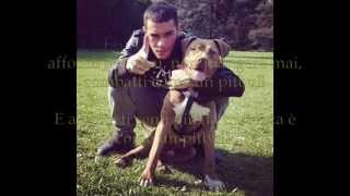 Emis Killa come un pitbull (+testo)