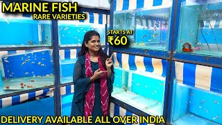 KOLATHUR FISH MARKET | Marine Fish