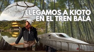 Viajé en el TREN MÁS RÁPIDO de Japón, todo es hermoso en ARASHIYAMA 🥹✨
