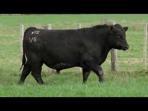 Lot 24  SEVEN HILLS V15 PV