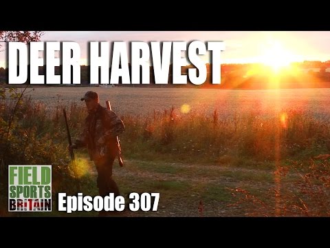 Fieldsports Britain – Deer Harvest Fieldsports Britain – Deer Harvest