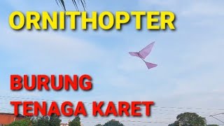 Download lagu Cara membuat burung bertenaga karet||ORNITHOPTER mp3 Download lagu Cara membuat burung bertenaga karet||ORNITHOPTER mp3