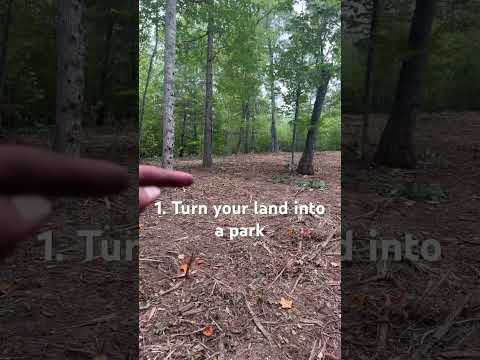 3 Reasons why landowners NEED to use a forestry mulcher  #forestrymulching #landclearing