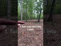 3 Reasons why landowners NEED to use a forestry mulcher  #forestrymulching #landclearing