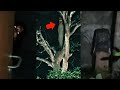 Asli Seram 15 Video Paling Menakutkan Yang Merekam Jelas Adanya Gangguan Dan Penampakan Hantu Nyata
