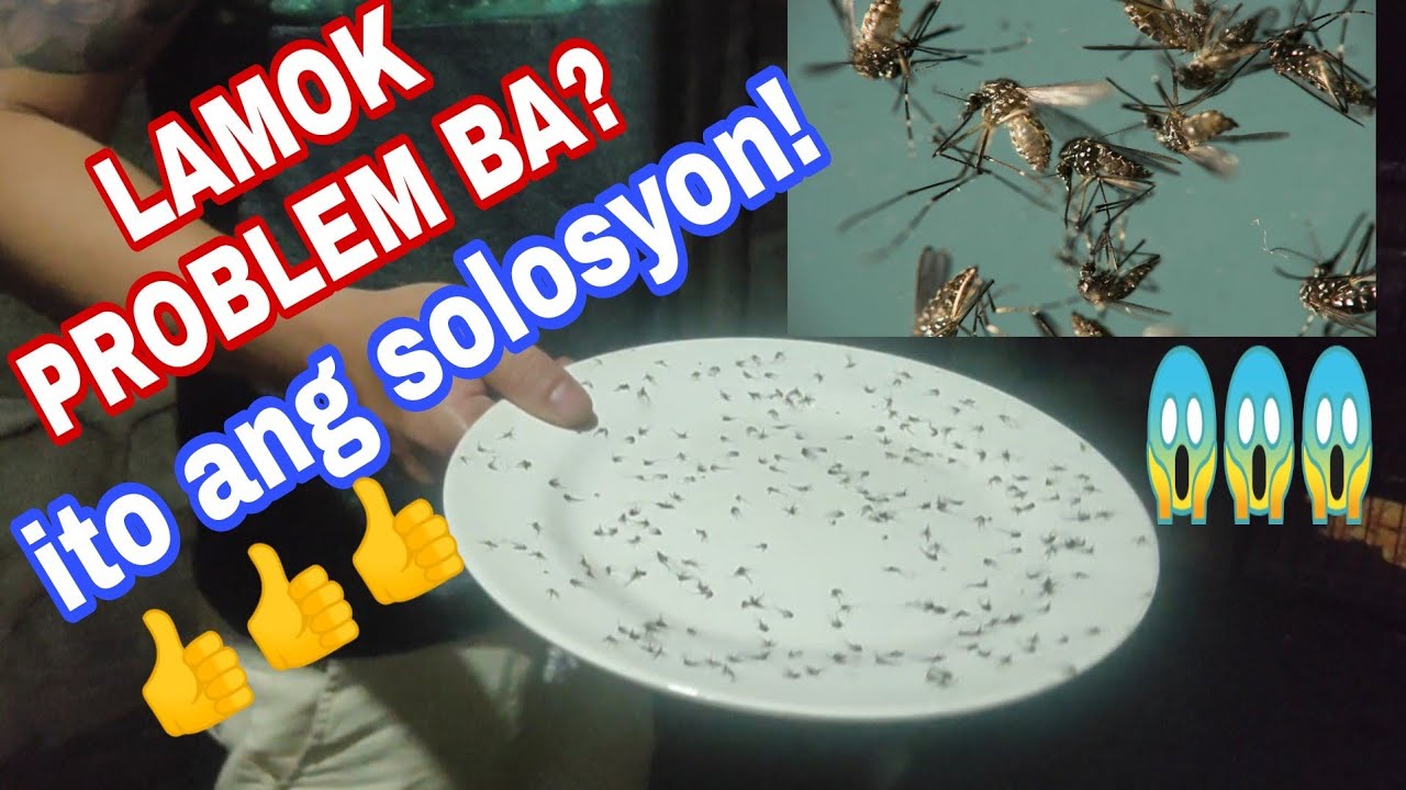 Putar video MABISA AT EFFECTIVE NA PARAAN PARA SA LAMOK! #TRENDING sekarang MABISA AT EFFECTIVE NA PARAAN PARA SA LAMOK! #TRENDING