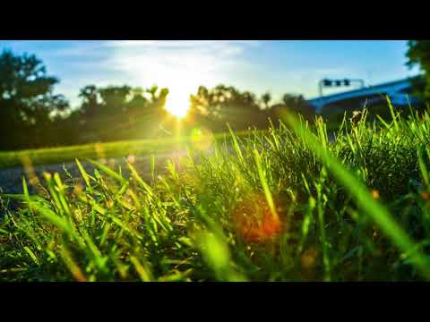 Gux Jimenez, Hall & Zanfa - Atemporal