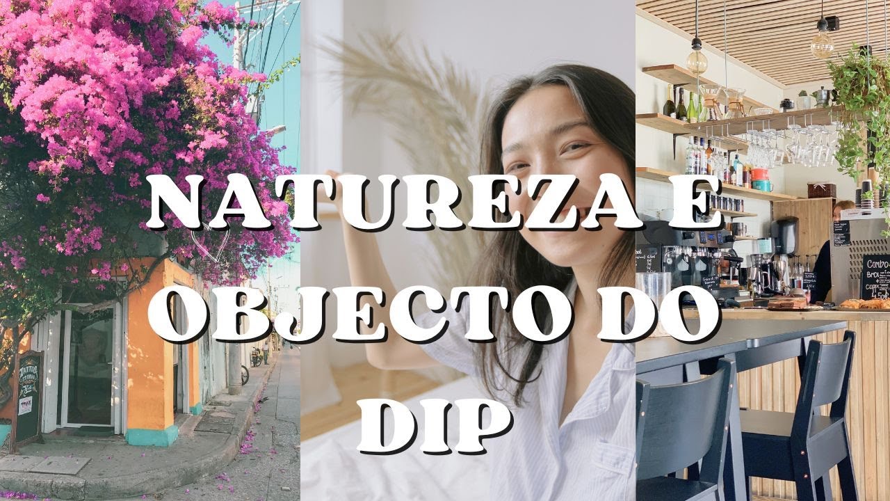 Aula de Direito Internacional Privado Angolano | Natureza, Objeto e Fim | Gilton Pena