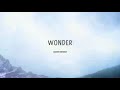 Shawn Mendes- Wonder (Lyrics)