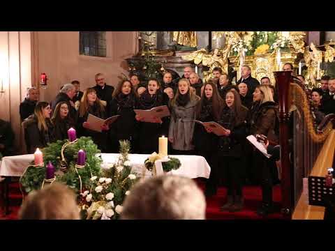 Young Roses - Still, ganz still