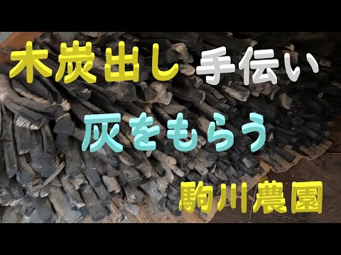 蘭に木炭や木灰を加えますか？その理由は次のとおりです。  庭園