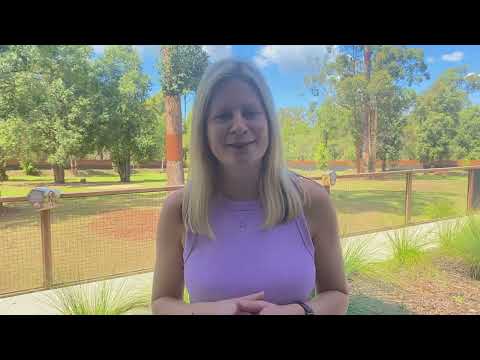 Bonza launches new flight route between Sunshine Coast and Darwin