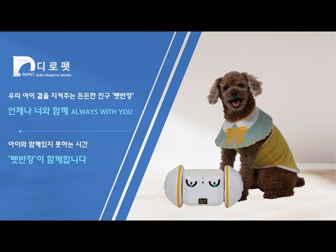 pet banjang