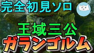 【モンハン サンブレイク】遂に王域三公と対面！！！完全初見ソロでガランゴルムに挑む！！【モンハン】【実況】