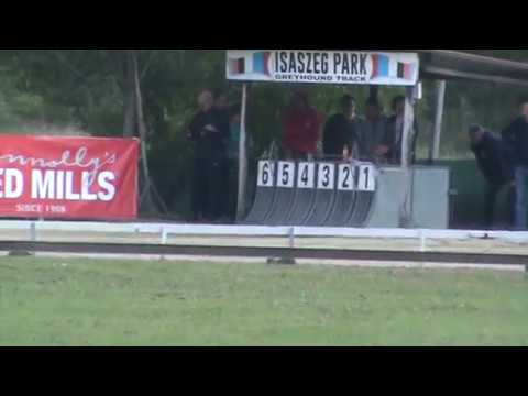 European Derby /sprint/ Final 2017 - DEEP NIGHT