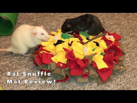Reviewing A Rat Snuffle Mat by Sorrentini Snuffles!