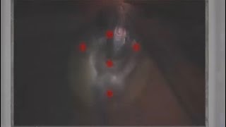名作リメイク、零赤い蝶ふたたび18、奇跡か？零フィルムで双子人形撃破！しかしその後も難しい😓