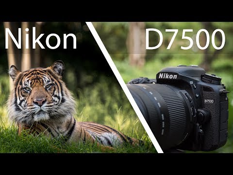 Camera D7500 Image Quality Nikon D7500 DSLR Camera With 18-140mm