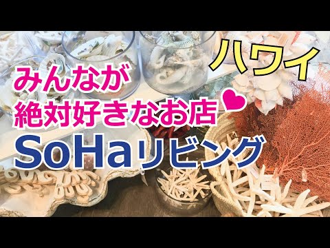 [Vlog de compras no Havaí] Fui ao "SoHa Living", um armazém muito popular cheio de aloha havaiano. Existem muitos produtos diversos fofos.