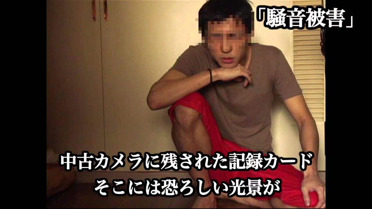 「封印映像14 猫塚の呪い」予告