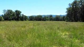 Homes for Sale - 2612 Holland Loop Rd Cave Junction OR 97523 - James Frick