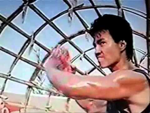 Robin Shou - Kung-fu