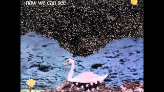 The Thermals - Now We Can See