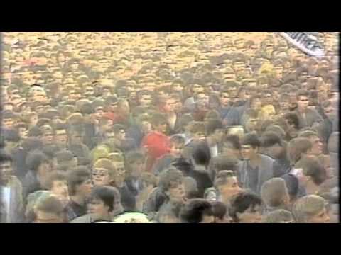 The bollock brothers The bunker