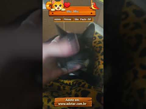 Vídeo de Miu Miu