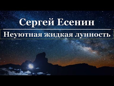 Сергей Есенин - Неуютная жидкая лунность