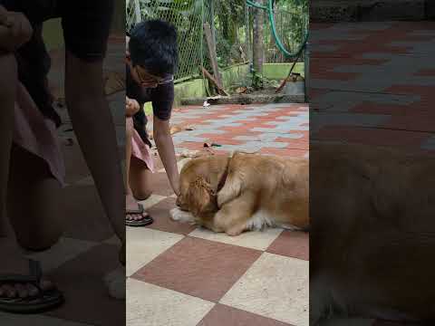 Della's motto: 'Rules are meant to be broken' | Behind the scenes