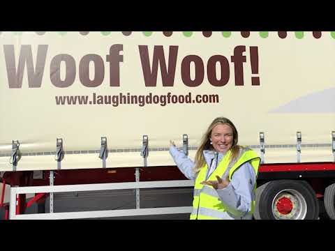 hqdefault | Laughing Dog Food Play Video