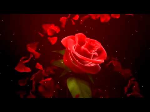 l'unica cosa che resta......(Soledisera)