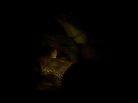 User submitted video