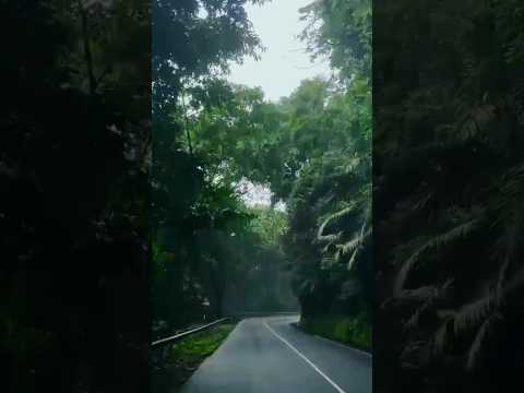 To travel is to live