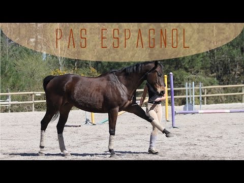download lagu mp3 mp4 Pas Espagnol Cheval, download mp3 Pas Espagnol Cheval free download, download mp3 Pas Espagnol Cheval