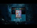 Gov't Mule - Love Is A Mean Old World (Visualizer Video)