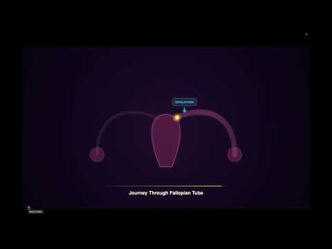 Watch the video